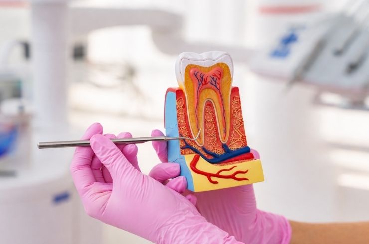 Dental Practice Clinic